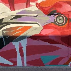 Meet your Posher, Nazly